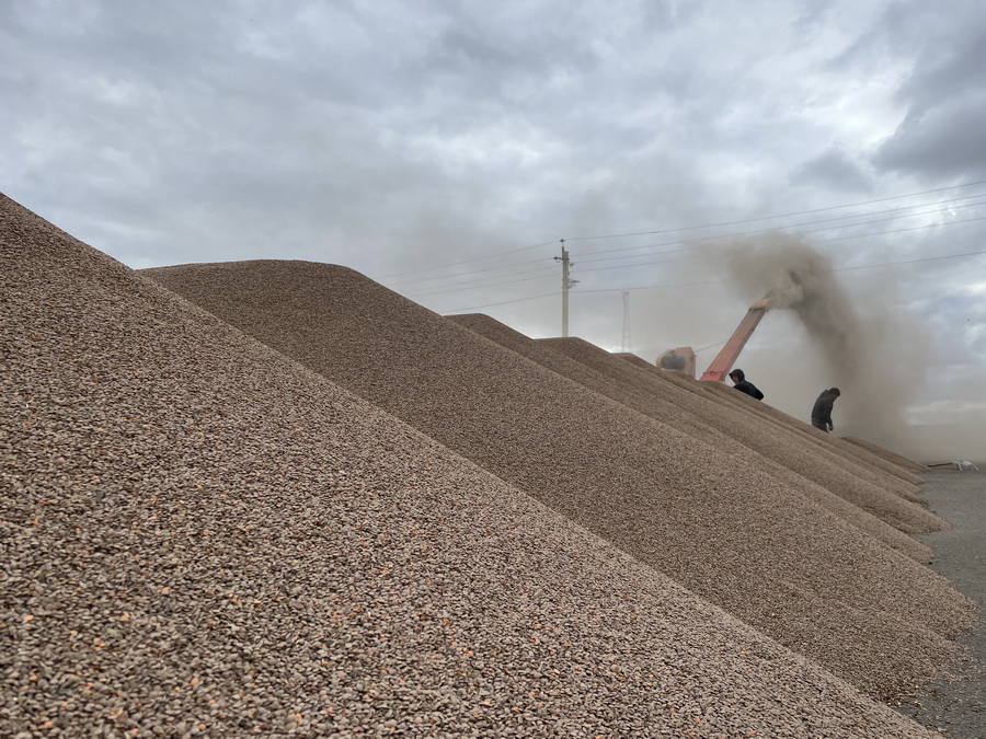 Зерно - Фото2.jpg