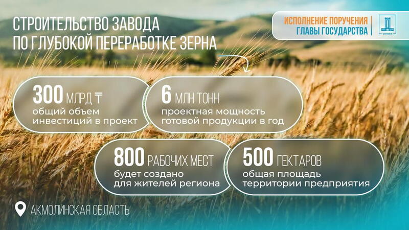 Казахстан построит завод по переработке зерна в Акмолинской области