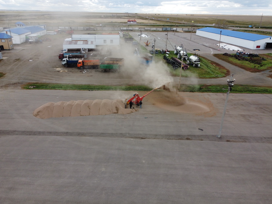 Зерно - Фото3.jpg