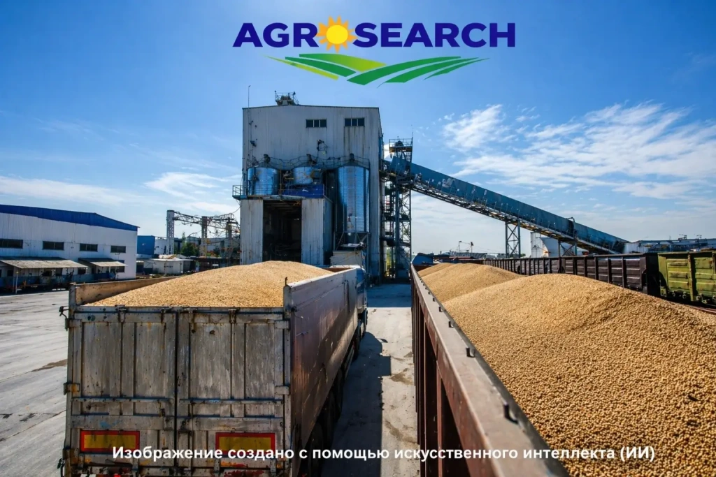 Alashankou checkpoint increases grain intake at the beginning of the year