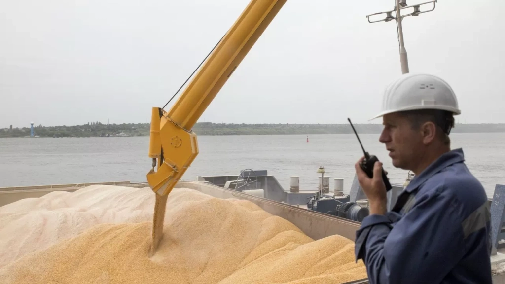 Крепкий тенге ударил по экспортерам зерна: поставки встали